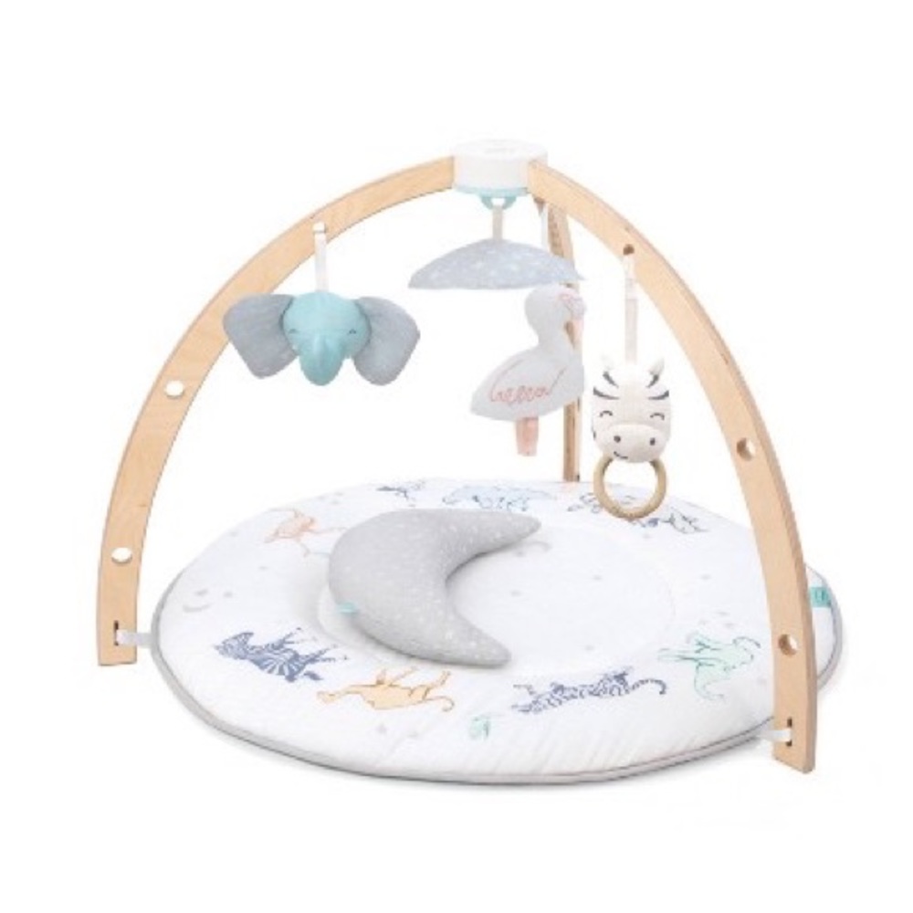 Aden + Anais playmat